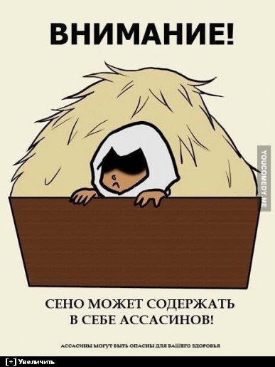  Assassin's creed  